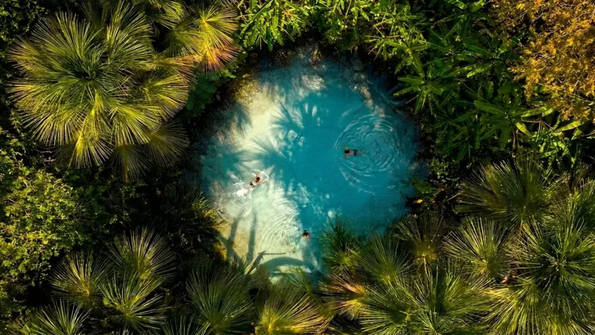 Ponto turístico da Região Norte com rio amazônico, floresta, praia de água doce e paisagens naturais
