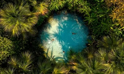Ponto turístico da Região Norte com rio amazônico, floresta, praia de água doce e paisagens naturais