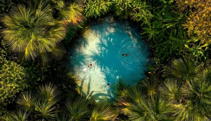 Ponto turístico da Região Norte com rio amazônico, floresta, praia de água doce e paisagens naturais