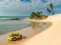 Vista aérea de uma das melhores praias do Rio Grande do Norte com mar azul, falésias e coqueiros