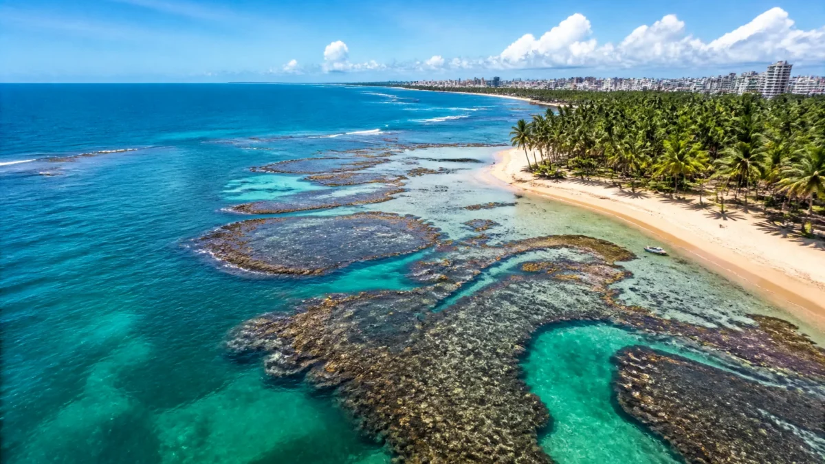 Melhor época para ir a Maceió: sol, mar e piscinas naturais - Vista aérea de praia com mar azul em Maceió durante período de sol