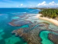 Melhor época para ir a Maceió: sol, mar e piscinas naturais - Vista aérea de praia com mar azul em Maceió durante período de sol