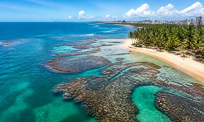 Melhor época para ir a Maceió: sol, mar e piscinas naturais - Vista aérea de praia com mar azul em Maceió durante período de sol