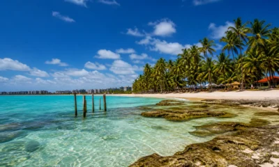 O que fazer em Maceió: praias, passeios e dicas para aproveitar a viagem - Vista aérea das praias de Maceió com mar azul e coqueiros no litoral alagoano